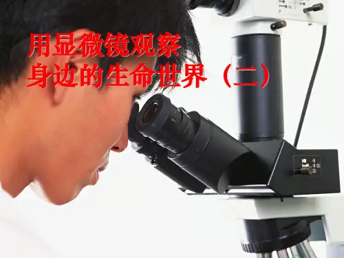 小学六年级下册科学 《用显微镜观察身边的生命世界(二)》微小世界优质课件PPT