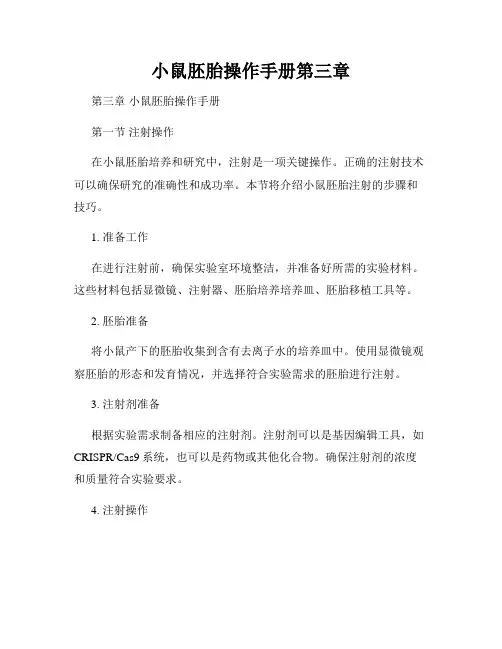 小鼠胚胎操作手册第三章