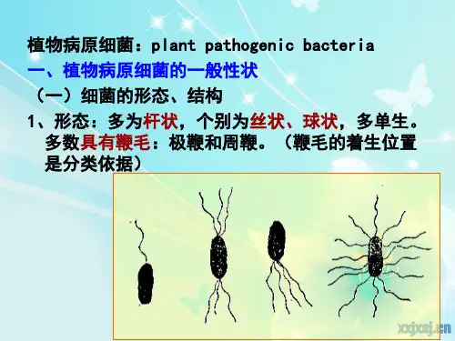 病原细菌学