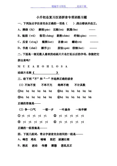 小升初总复习汉语拼音专项训练习题