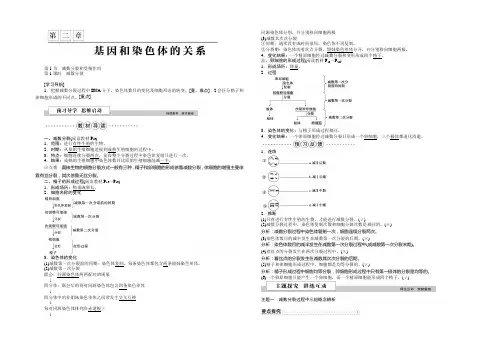 2022版优化方案高中生物人教版必修二学案 第二章 基因和染色体的关系 第1节第1课时减数分裂
