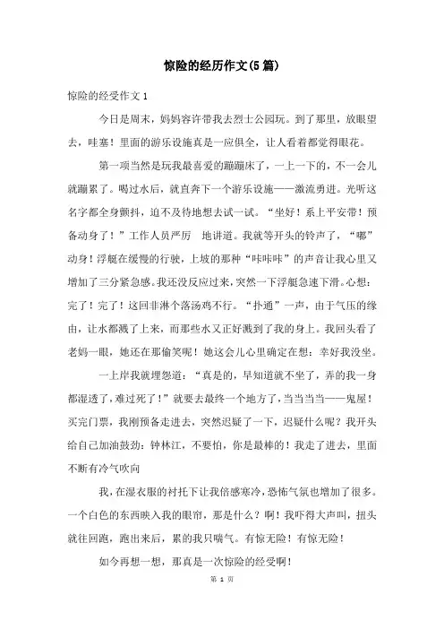 惊险的经历作文(5篇)