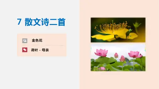 7散文诗二首(《金色花》《荷叶母亲》)