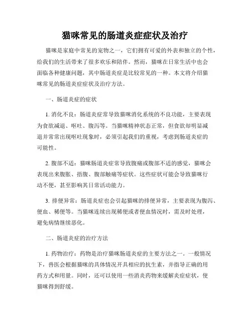 猫咪常见的肠道炎症症状及治疗