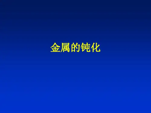 腐蚀与防护-第六章 金属的钝化讲解