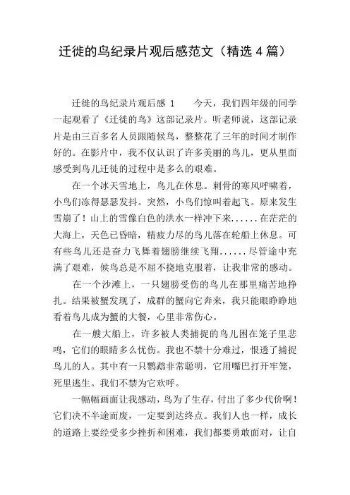 迁徙的鸟纪录片观后感范文(精选4篇)