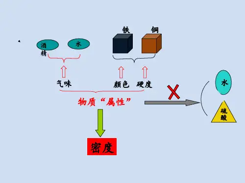 初中物理 密度 ppt