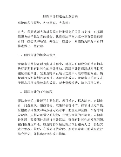 跟踪审计推进会上发言稿