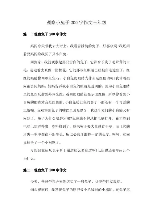 观察小兔子200字作文三年级
