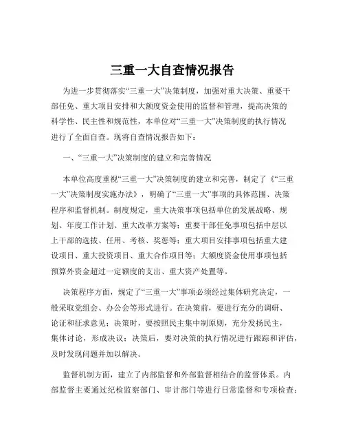三重一大自查情况报告