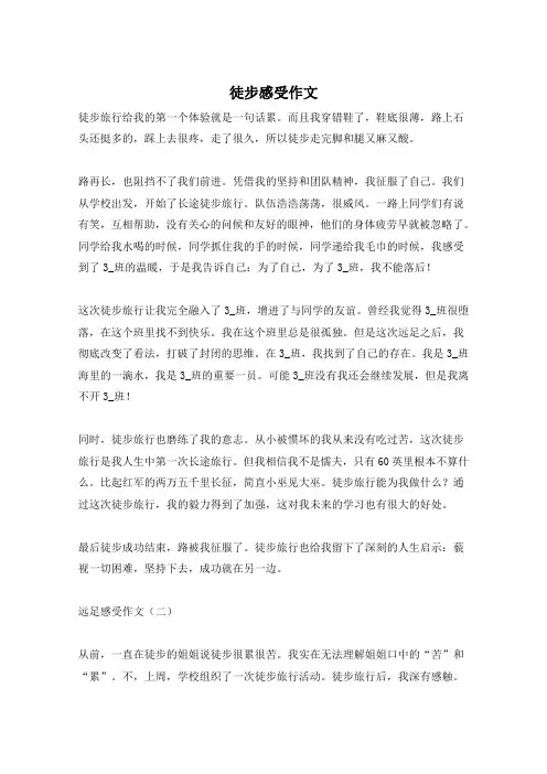 徒步感受作文
