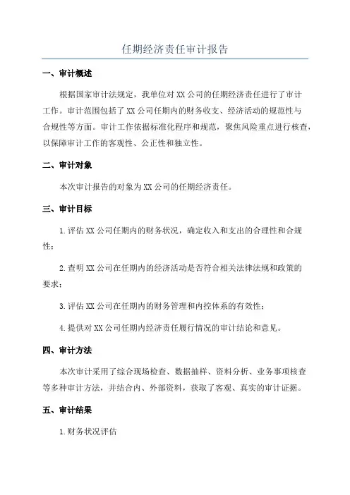 任期经济责任审计报告