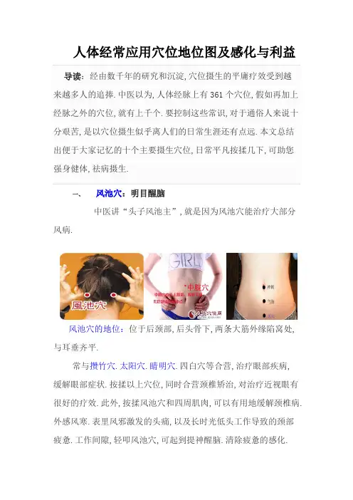 人体常用穴位位置图及作用与好处-人体准确位置图