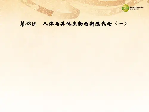 浙江省中考科学一轮复习 第38讲 人体与其他生物的新陈代谢(一)课件
