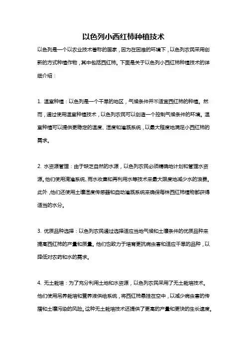 以色列小西红柿种植技术