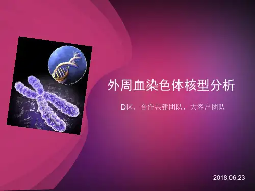 外周血染色体核型分析