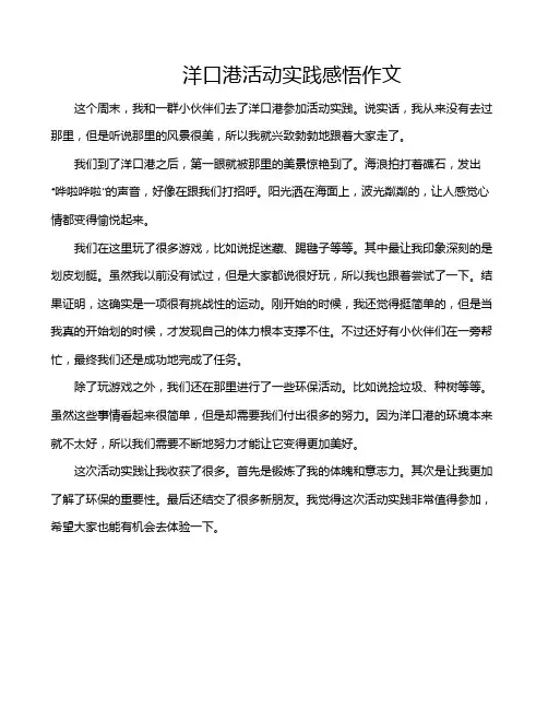 洋口港活动实践感悟作文