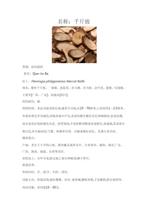 中药分析以及药性 千斤拔