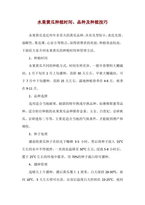 水果黄瓜种植时间、品种及种植技巧