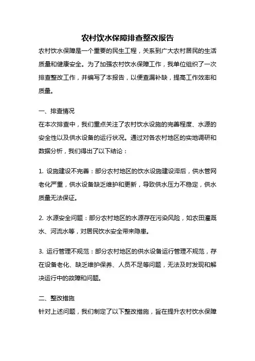 农村饮水保障排查整改报告
