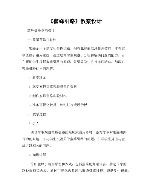 《蜜蜂引路》教案设计