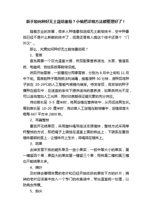 新手如何种好无土栽培番茄？小编把详细方法都整理好了！