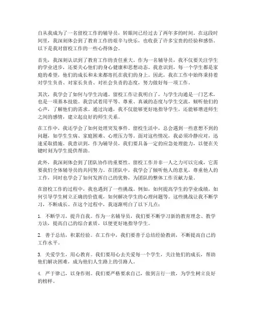 留校工作心得体会