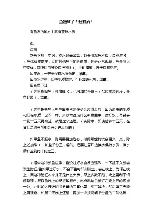 鱼蹭缸了？赶紧治！
