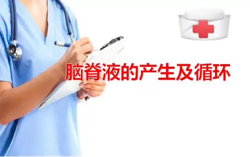 神经系统—脑、脊髓被膜和血管(人体解剖学课件)
