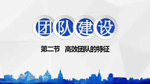 第二节 高效团队的特征