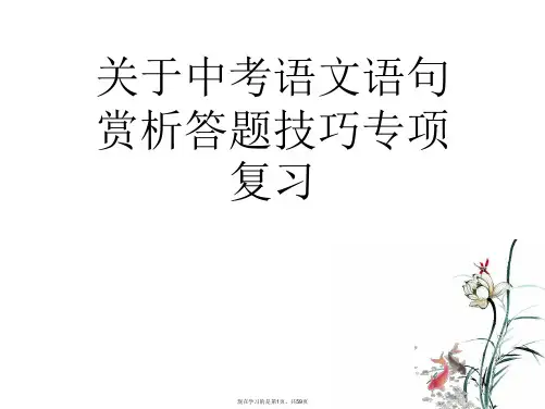 中考语文语句赏析答题技巧专项复习课件
