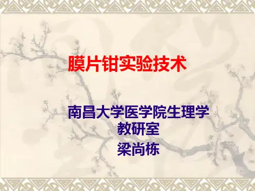 膜片钳实验技术(高级生理课程,201310)
