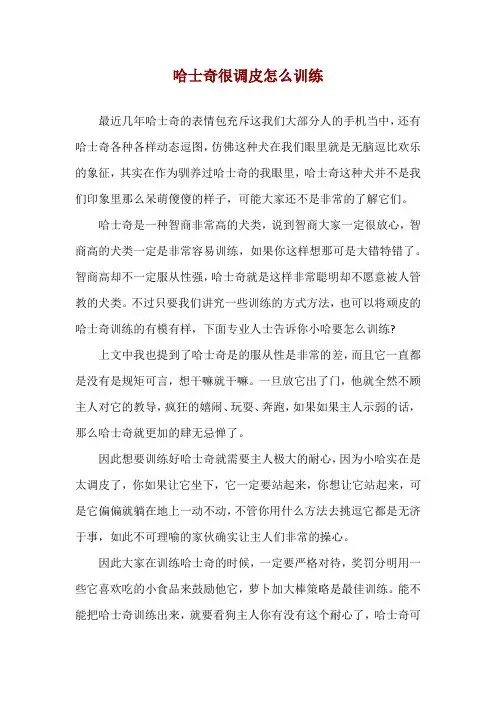 哈士奇很调皮怎么训练