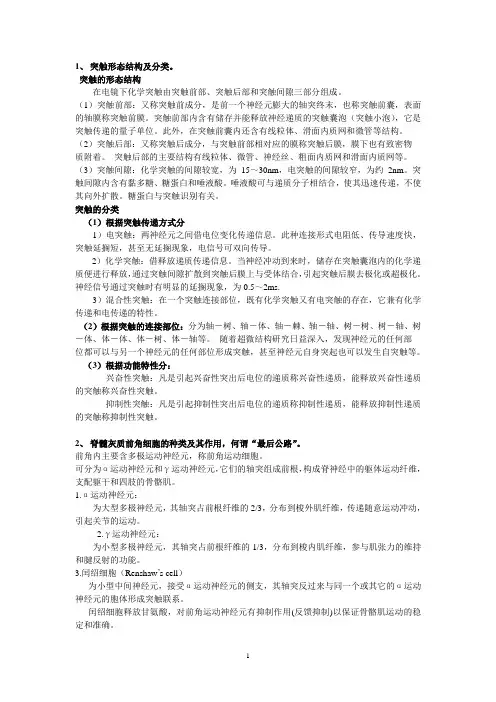 神经解剖考试题