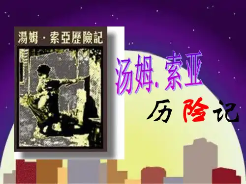 《汤姆·索亚历险记》课件.ppt
