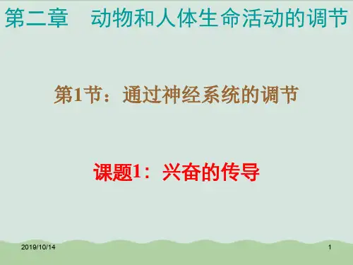 动物和人体生命活动的调节PPT课件全解4 人教课标版