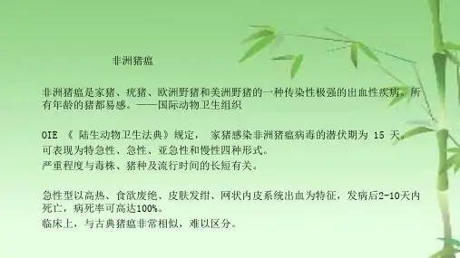 临床病理解剖学非洲猪瘟ppt