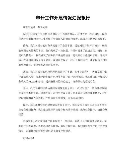 审计工作开展情况汇报银行