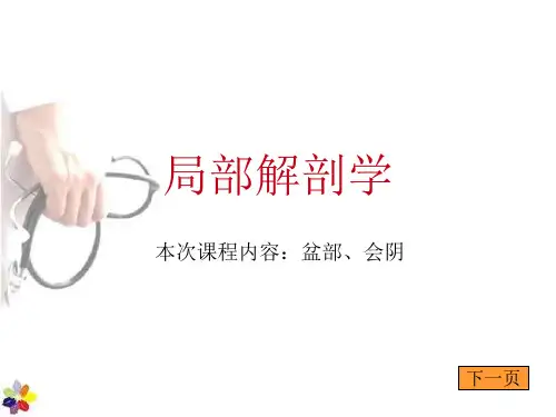 局部解剖学--盆部  ppt课件