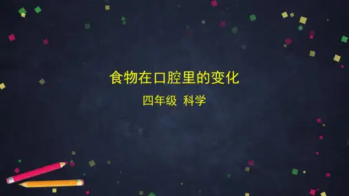 教科版小学科学四年级上册《食物在口腔里的变化》教学课件ppt