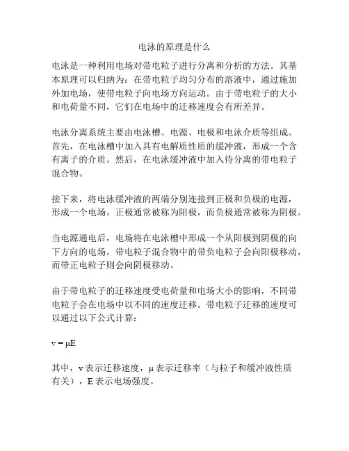 电泳的原理是什么
