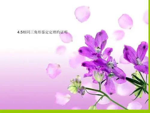 相似三角形判定定理的证明说课稿公开课获奖课件省赛课一等奖课件