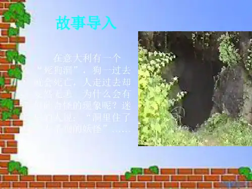 二氧化碳的性质公开课主讲版ppt课件