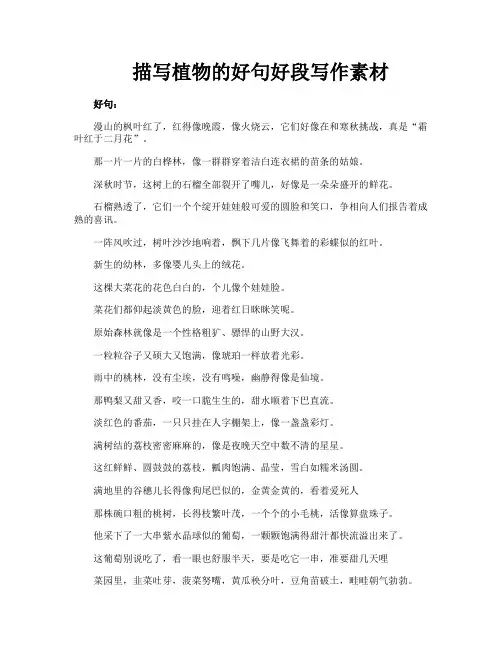 描写植物的好句好段写作素材