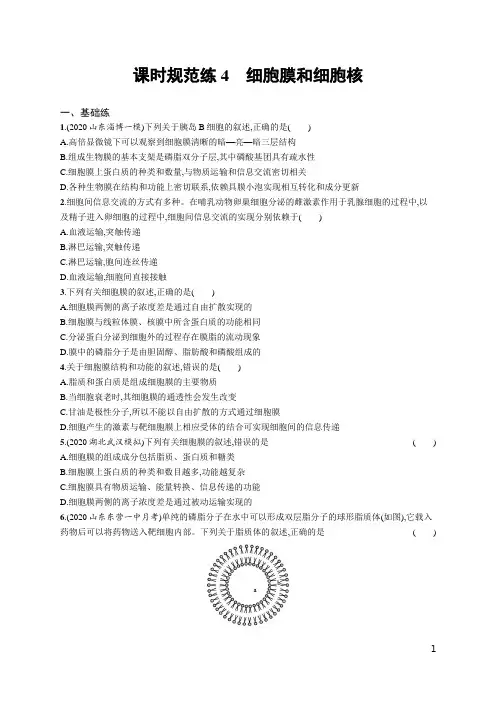 高考总复习优化设计一轮用书生物配人教版(适用于新高考新教材)——课时规范练4 细胞膜和细胞核