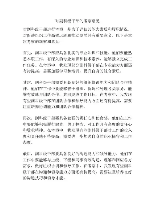 对副科级干部的考察意见