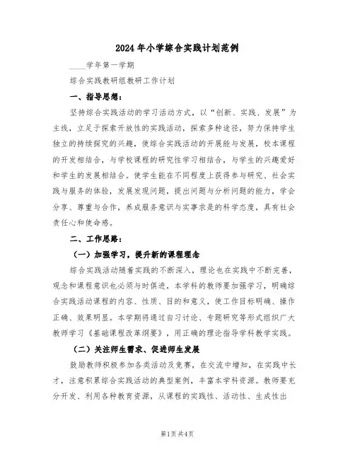 2024年小学综合实践计划范例（2篇）
