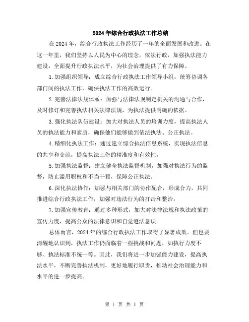 2024年综合行政执法工作总结