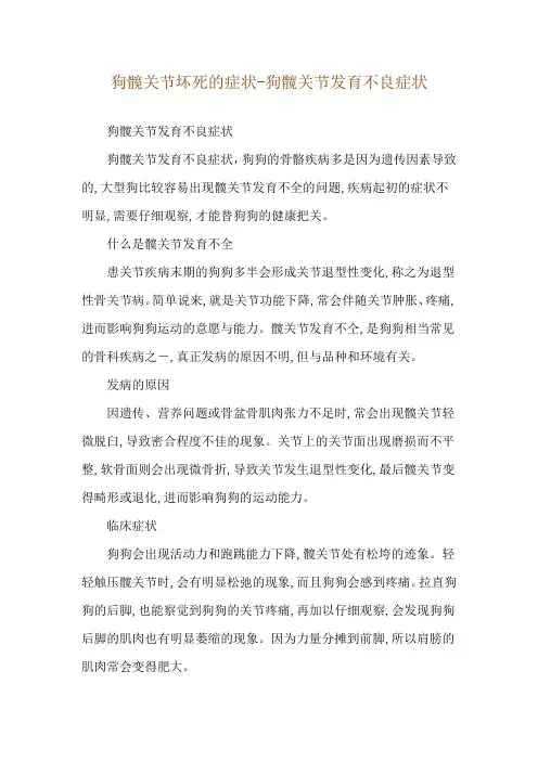 狗髋关节坏死的症状-狗髋关节发育不良症状