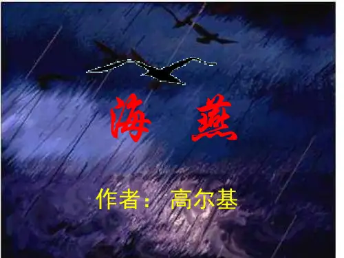 9《海燕》省名师优质课赛课获奖课件市赛课一等奖课件